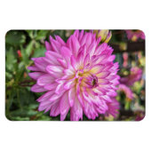 Magnet Flexible Magnat photo à fleurs Dahlia (Horizontal)