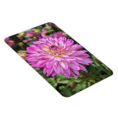 Magnet Flexible Magnat photo à fleurs Dahlia (Côté Droit)