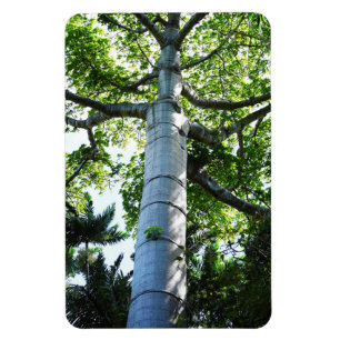 Magnet Flexible Magnat photo de l'arbre Quipo