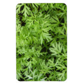 Magnet Flexible Magnat Premium Carrot Tops (Vertical)