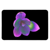 Magnet Flexible Magnét de haute qualité avec fleur de crocus de be (Horizontal)