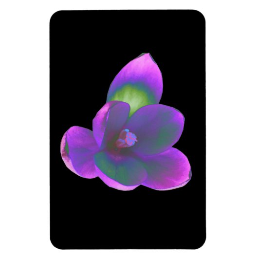 Magnet Flexible Magnét de haute qualité avec fleur de crocus de be (Vertical)