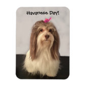 Magnet Flexible Magnet, HAVANESE DAY ! par Nancy Lee Garrett (Vertical)