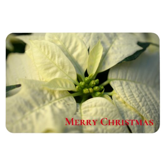 Magnet Flexible Magnet-Poinsettia (Horizontal)