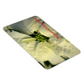 Magnet Flexible Magnet-Poinsettia (Côté Droit)