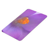 Magnet Flexible Magnifique aimant Premium Crocus (Côté Gauche)