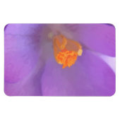 Magnet Flexible Magnifique aimant Premium Crocus (Horizontal)