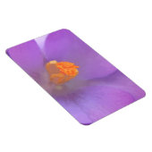 Magnet Flexible Magnifique aimant Premium Crocus (Côté Droit)