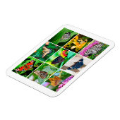 Magnet Flexible Magnifique Papillons Collage, 9 Photos (Côté Gauche)