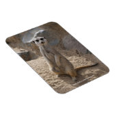 Magnet Flexible Magnifique suricate (Côté Droit)