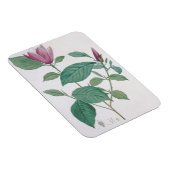 Magnet Flexible Magnolia discolor, gravée par Legrand (colour lit (Côté Droit)