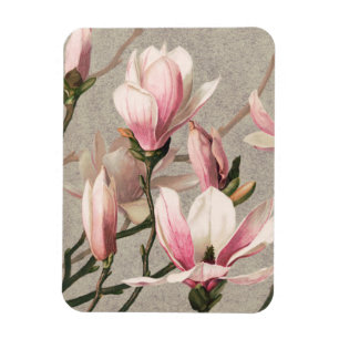 Magnet Flexible Magnolia - L. Prang & Co