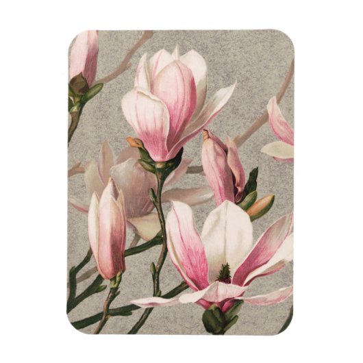Magnet Flexible Magnolia - L. Prang & Co (Vertical)