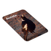 Magnet Flexible Magpie australien aimant photo (Côté Droit)