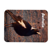 Magnet Flexible Magpie australien aimant photo (Horizontal)