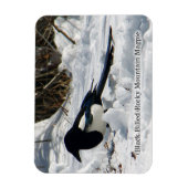 Magnet Flexible Magpie Black Billed Rocky Mountain (Vertical)