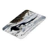 Magnet Flexible Magpie Black Billed Rocky Mountain (Côté Gauche)