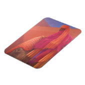 Magnet Flexible Mahout et Elephant (Côté Gauche)