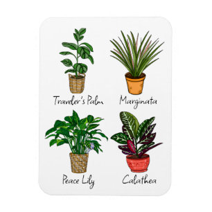 Magnet Flexible Main Drake House Plante Art