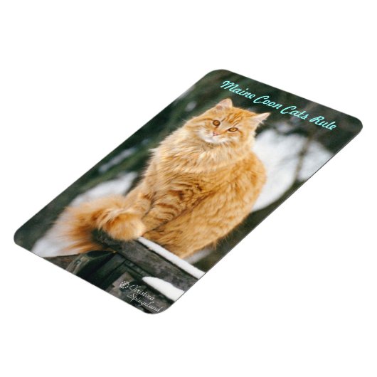 Magnet Flexible Maine chat coon Aimant flexible (Côté Gauche)