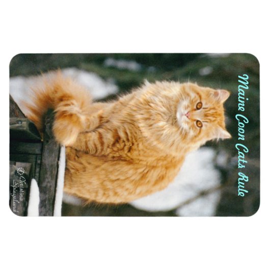 Magnet Flexible Maine chat coon Aimant flexible (Horizontal)