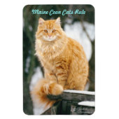 Magnet Flexible Maine chat coon Aimant flexible (Vertical)