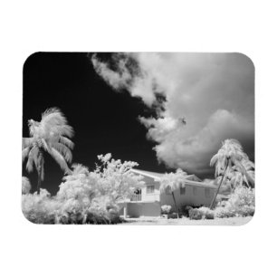 Magnet Flexible Maison des Keys de Floride et ses palmiers, États-