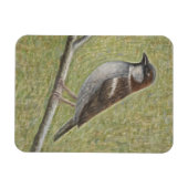 Magnet Flexible Maison Sparrow 2008 (Horizontal)