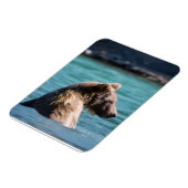 Magnet Flexible Majestic Alaskan Brown Bear (Côté Gauche)
