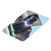 Magnet Flexible Majestic Purple Martin (Côté Gauche)