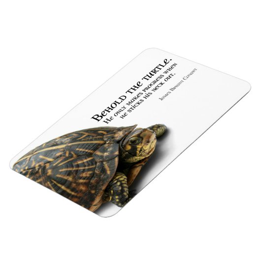 Magnet Flexible Makes Progress (Côté Gauche)