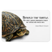 Magnet Flexible Makes Progress (Horizontal)