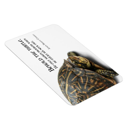 Magnet Flexible Makes Progress (Côté Droit)