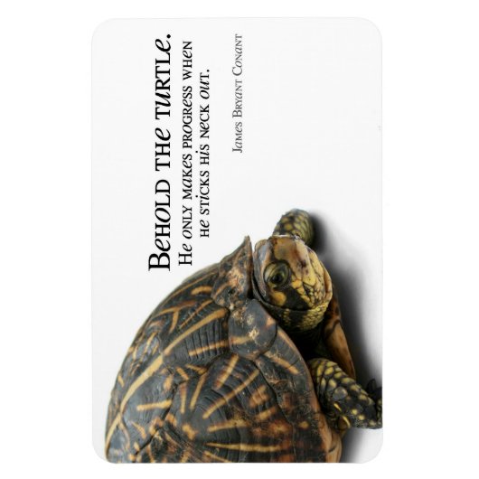 Magnet Flexible Makes Progress (Vertical)