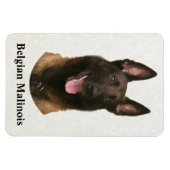 Magnet Flexible malinois belge (Horizontal)