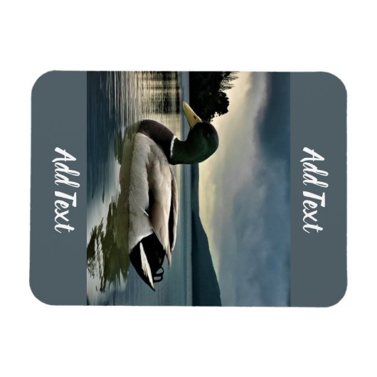 Magnet Flexible Mallard Duck (Horizontal)