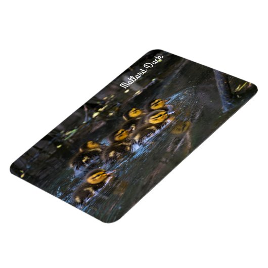 Magnet Flexible Mallard Duck (Côté Gauche)