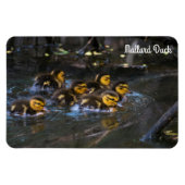 Magnet Flexible Mallard Duck (Horizontal)