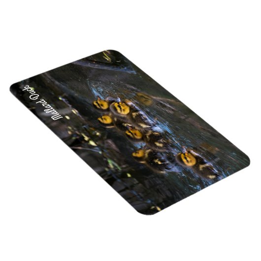 Magnet Flexible Mallard Duck (Côté Droit)