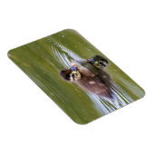 Magnet Flexible Mallard Duckling (Côté Droit)