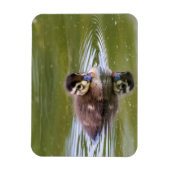 Magnet Flexible Mallard Duckling (Vertical)