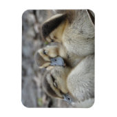 Magnet Flexible Mallard Ducklings en train de battre ! (Vertical)