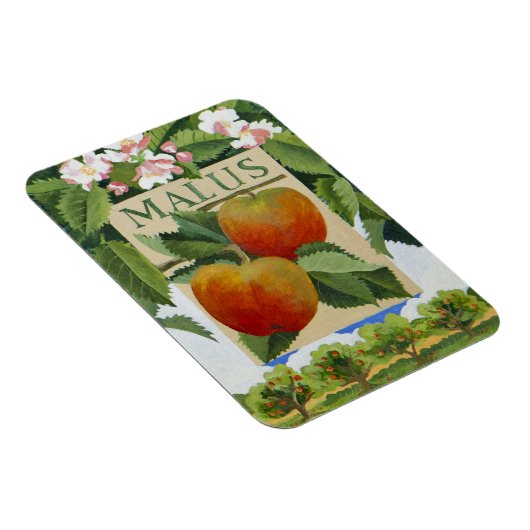 Magnet Flexible Malus (Côté Droit)