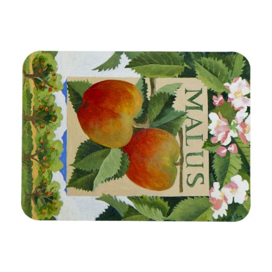 Magnet Flexible Malus (Horizontal)