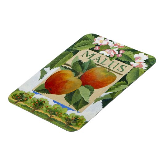 Magnet Flexible Malus (Côté Gauche)