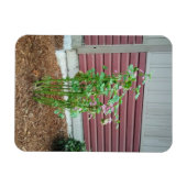 Magnet Flexible Malva (Horizontal)