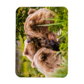 Magnet Flexible Mama bear nourrit ses deux petits, Lake Clark Nati (Vertical)