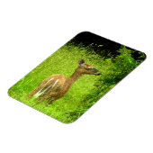 Magnet Flexible Mama Deer Browser (Côté Gauche)