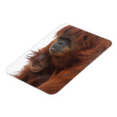 Magnet Flexible Maman et bébé Orangutan (Côté Gauche)