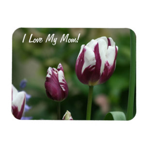 Magnet Flexible Maman pourpre de tulipes